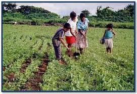 Instan en Nicaragua a integralidad en la atención al sector rural