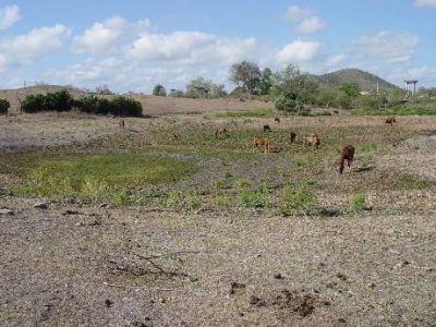 Afecta la sequía a más de 10 mil personas en Cuba